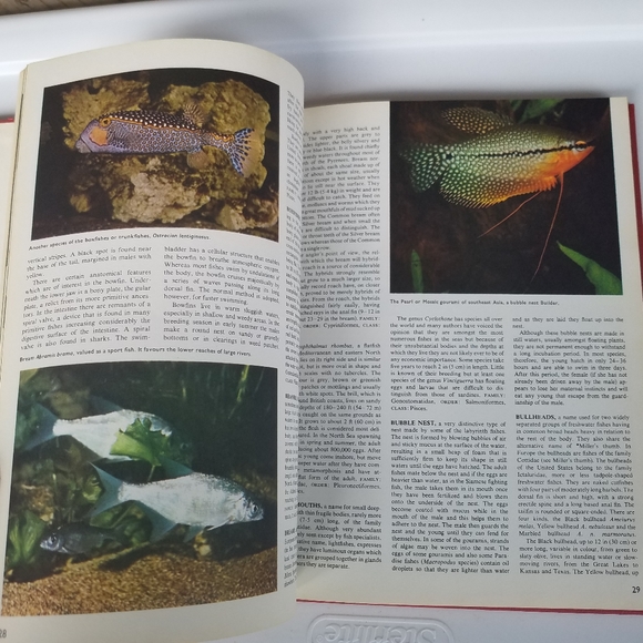 The World of Fish 1975 Peebles Press editor John H - Picture 4 of 16